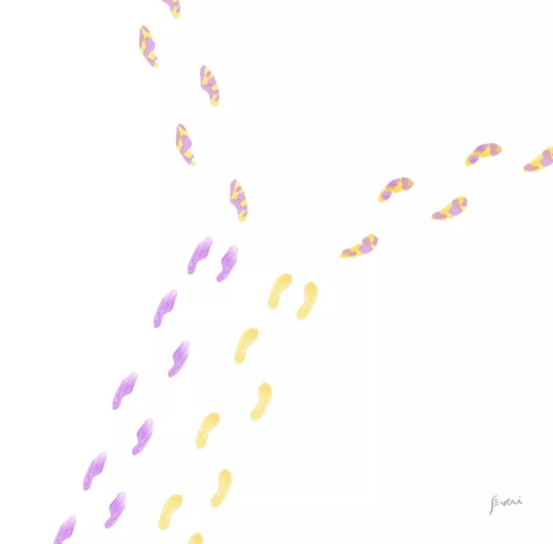 tal vez en otra vida.