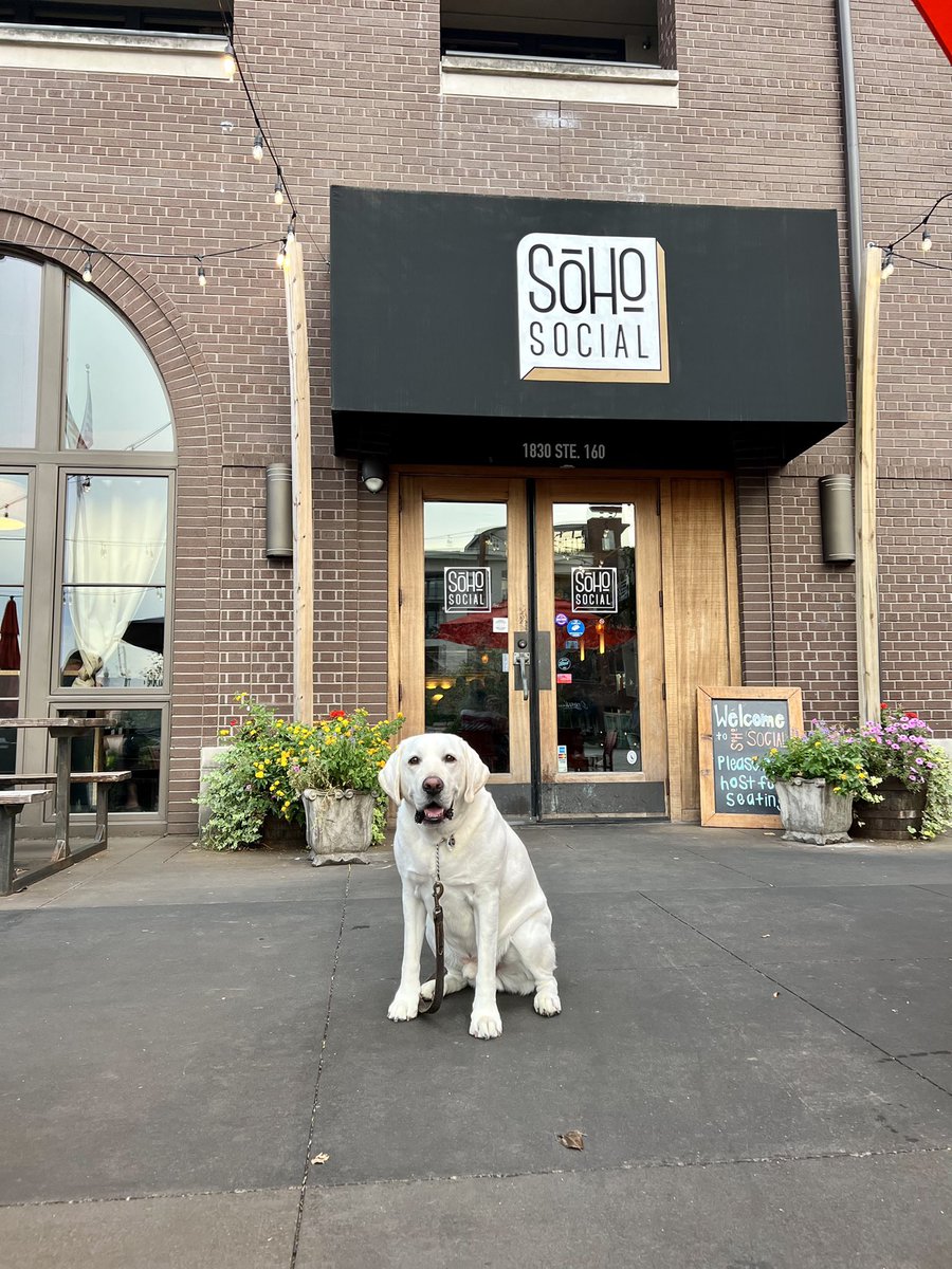SoHoSocialAL's tweet photo. We had a special visitor Monday! Thanks Sam for coming to see us. #besocial #dogsofbham #bhampatio https://t.co/SLc8uS2Tzb