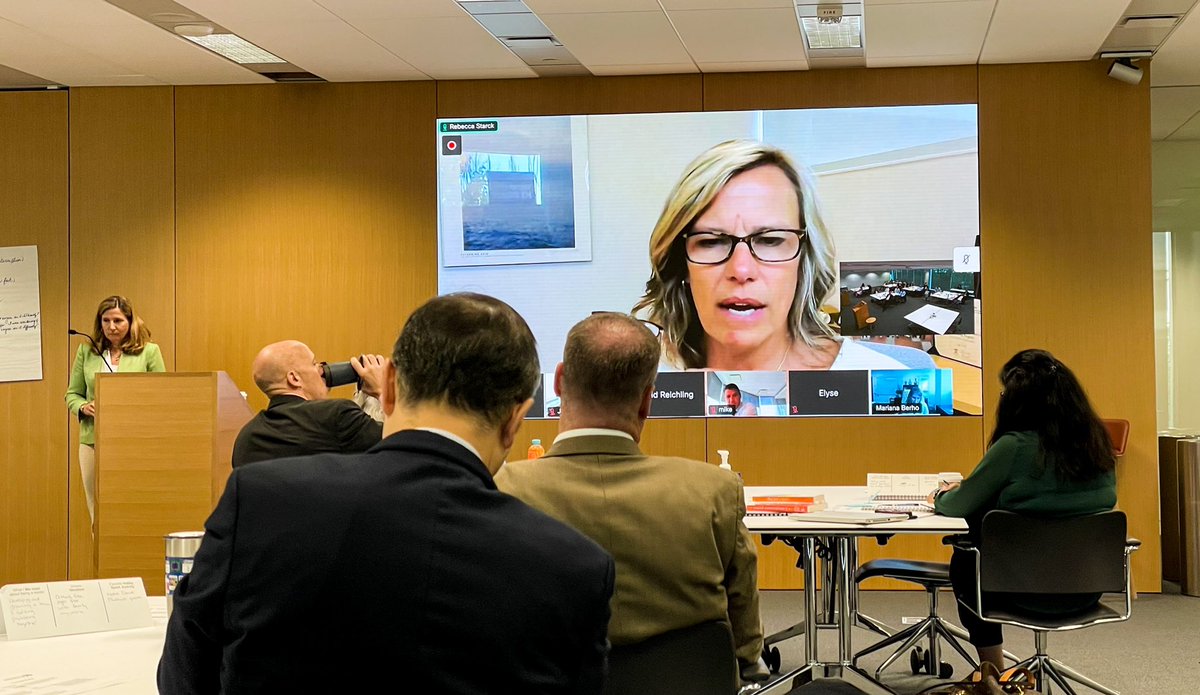 Ashley Villani tweet media