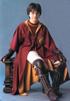 Harry Potter for Multiversus tweet media
