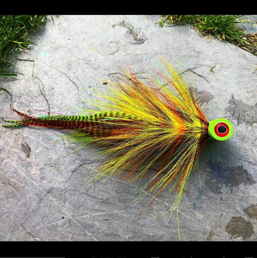 ZZ_Troutski's tweet photo. Wow, that's colorful
ought to move some water
@muskyshivers
Hammerhead T-Bone in El Fuego Tigre.
•
#muskyonthefly #muskie #flytying #muskyfly #flytyingjunkie #streamer #bucktail #esox #predatorflies #esoxonthefly https://t.co/J0iRTjcsNg
