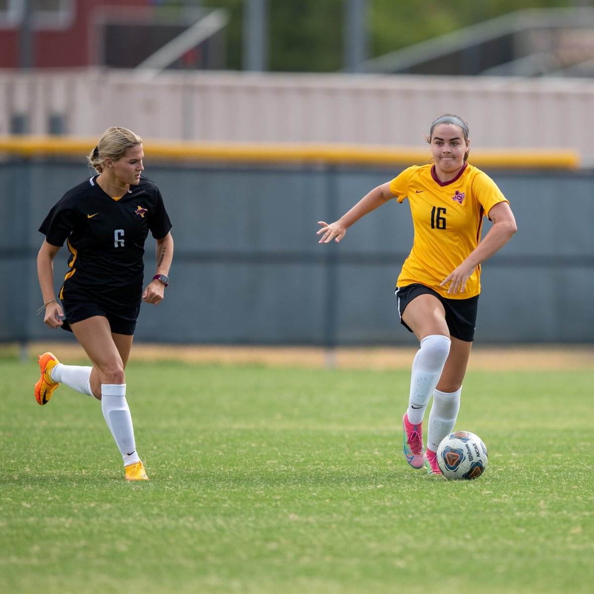 MSUMustangs's tweet photo. W SOCCER | Scenes from the first intra-squad scrimmage of the fall. @MSUTXWSoc #StangGang https://t.co/abfv55Z53W