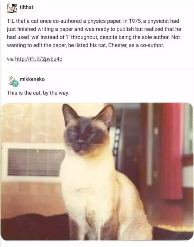 In honour of International Cat Day, let’s remember Chester who co-authored  a physics paper under the name F.D.C. Willard.

science.org/content/articl…

The paper: journals.aps.org/prl/pdf/10.110…