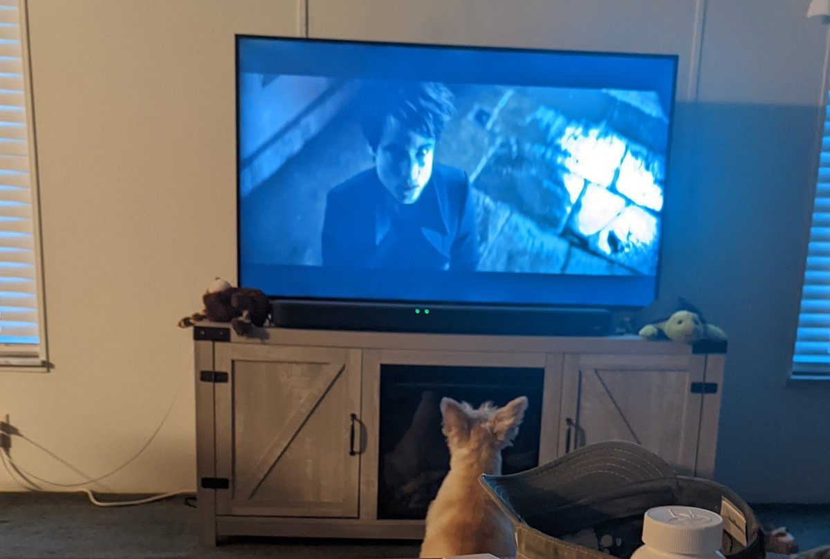 onslaughtq's tweet photo. @neilhimself Our dog, Sassy, is a fan of The Sandman https://t.co/vR9ugD0QUs