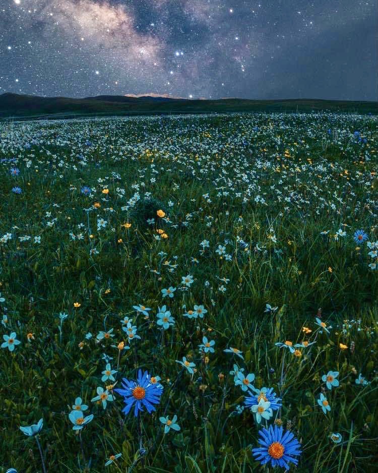 Tackle71Wall's tweet photo. Goodnight Sandlot

🦋no act of kindness is ever wasted
👉🏻Smile someone needs it

Sending out hugz 🙏 and ❤️ to all my followers 

🦋Tee🦋 https://t.co/tg1Hq8rvW4