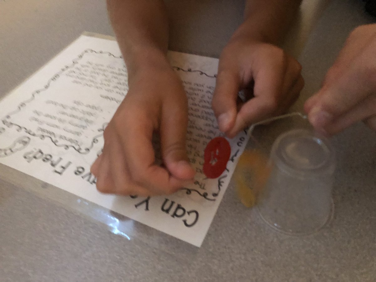 Mrs. Ginny Brown tweet media