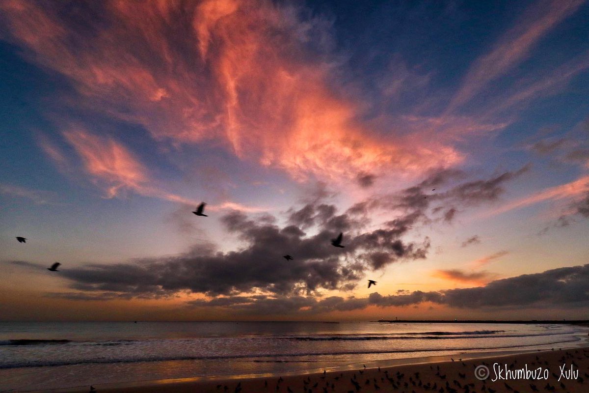 mccoovane's tweet photo. Good Morning Durban 🇿🇦

Don’t be pushed around by the fears in your mind. Be led by the dreams in your heart.

#ilovedbn #ethekwini #winter #hope #dnnbeach #seascape #sunrise #qoutes #durbanhasmore #durban_local #dbntourism #kzntourism #satourism #canonsa #durban #morningwalk https://t.co/su4qNzf4BR