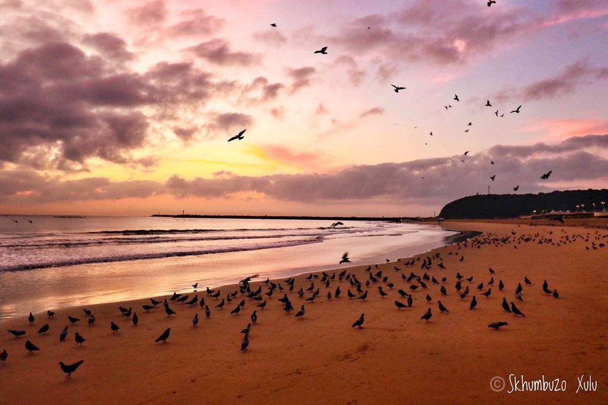 mccoovane's tweet photo. Good Morning Durban 🇿🇦

Don’t be pushed around by the fears in your mind. Be led by the dreams in your heart.

#ilovedbn #ethekwini #winter #hope #dnnbeach #seascape #sunrise #qoutes #durbanhasmore #durban_local #dbntourism #kzntourism #satourism #canonsa #durban #morningwalk https://t.co/su4qNzf4BR