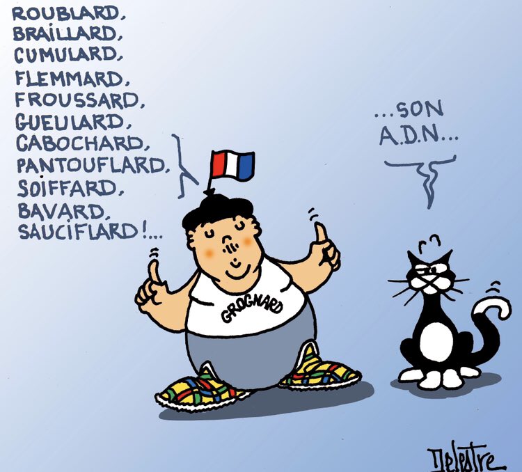 phdelestre's tweet photo. @phdelestre  #français #ADN #Franceprofonde #peuplefrançais  #gauloisréfractaire https://t.co/Y1TcRotRkr