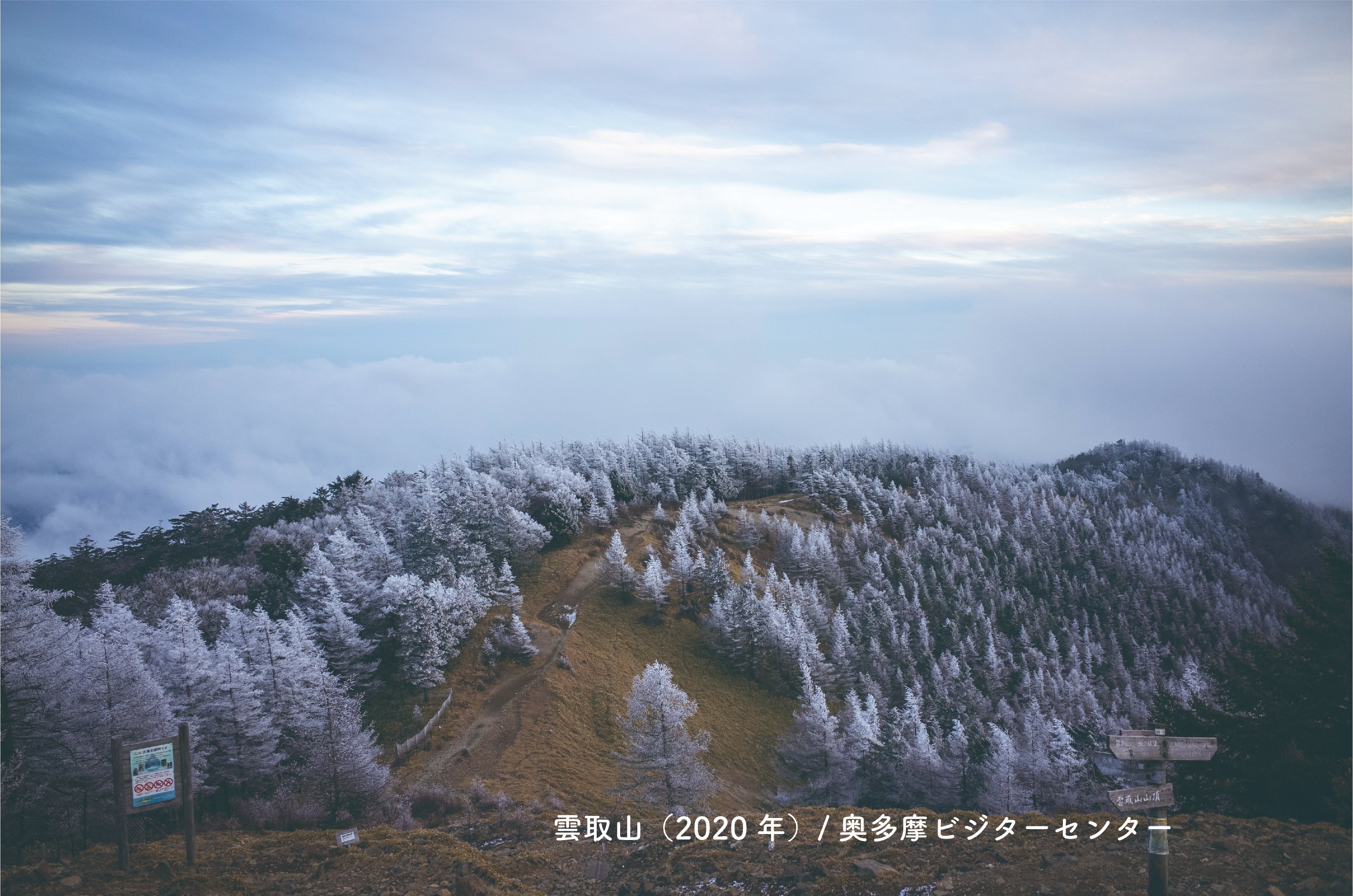 Tweets With Replies By 奥多摩ビジターセンター 公式 Okutamavc Twitter