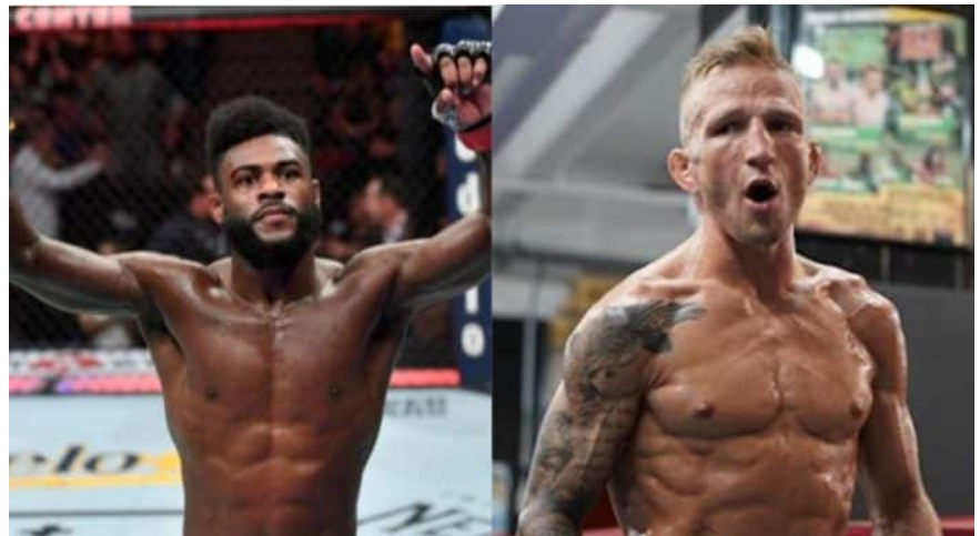 battle_mma's tweet photo. Aljamain Sterling bats back idea that T.J. Dillashaw isn’t cheating ahead of UFC 280: “Miss me with that s*it”

#mma #ufc #ufc280 #tjdillashaw #bjpenndotcom #missme #missmewiththatshit #aljamains #sterling #aljamainsterling #twodollars #dollars #gamer #future #sport #fight #l https://t.co/QapYHdtPD7