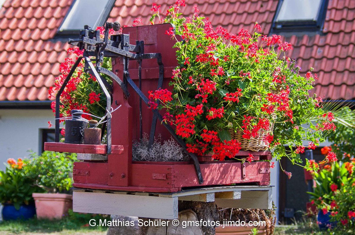 Old scales with floral decorations  #Garden #flowers #GartenEinsichten #gmsfotos @ThePhotoHour @BurgPosterstein