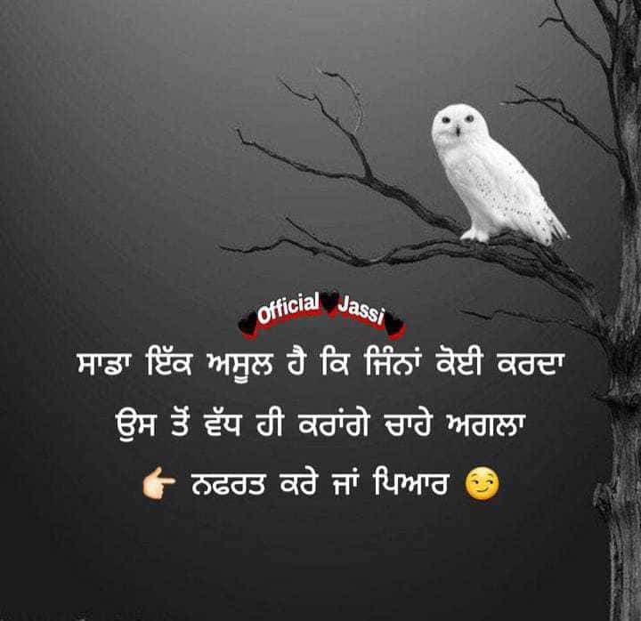 kaur_arshu's tweet photo. #GoodMorningTwitterWorld
#GoodVibesOnly
#happywithyourself
#StayBrightStayTRUE https://t.co/nBR2lB9PAm