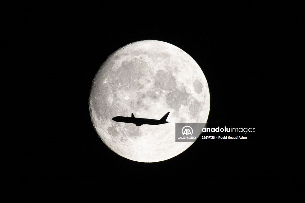 Anadolu Images tweet media