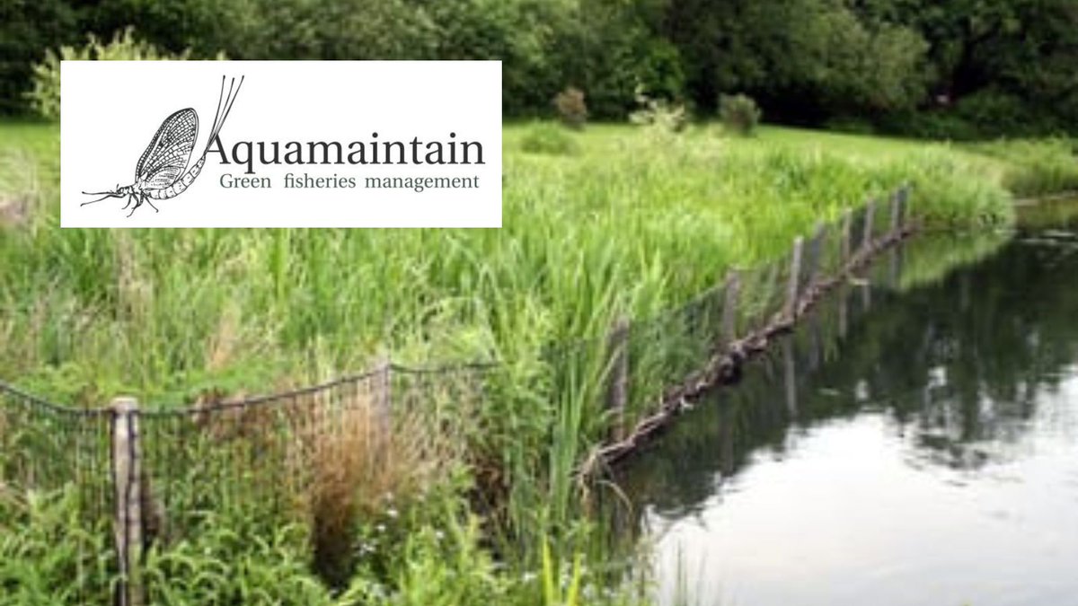 ££ Club member discount ££ <a href="/aquamaintain/">Aquamaintain Ltd</a> are contractors specialising in providing environmentally considerate solutions for fisheries and aquatic environments including river restoration, lake &amp; pond enhancement and habitat improvement. Find out more at bit.ly/3egtSVX