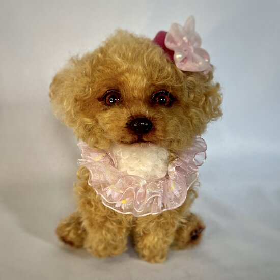 BearPile's tweet photo. Toy Poodle Puppy Mira by Smiling_toys https://t.co/umAa8RNFCr #collectibledogs #OneofaKind #dog https://t.co/YRMSNamfbs
