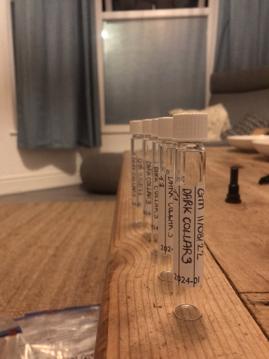 The exetainers are labelled first time syringe sampling GHG’s today! EXCITING!!! 🤓 #phdlife #fieldwork #peat