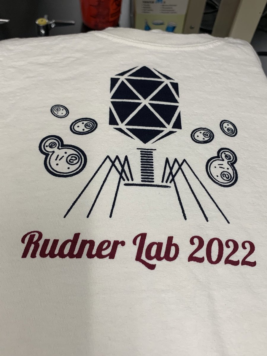 The Rudner lab is being taken over by phages. #PhageCanada. Excited to connect with Canadian phage researchers next week.