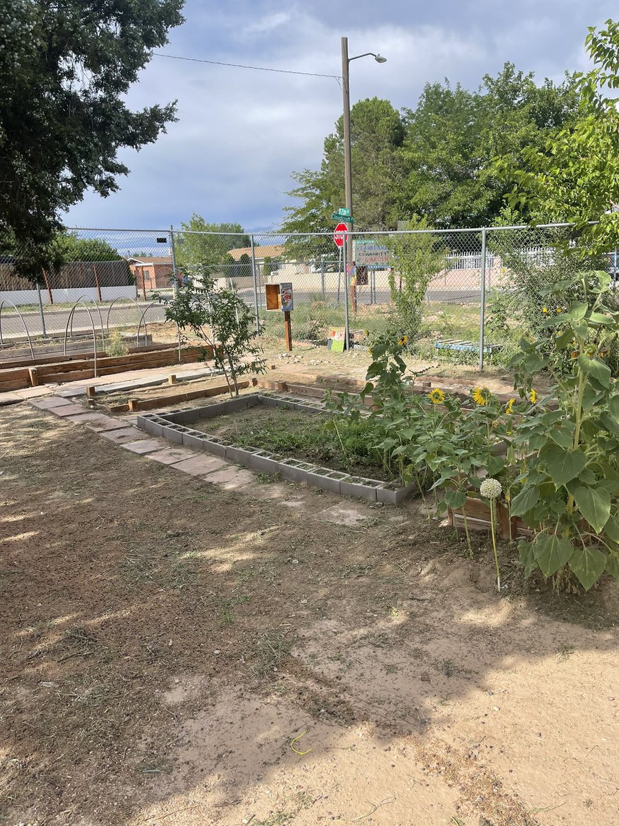 This is community! Today I had a parent and her oldest son volunteer for almost 5 hours cleaning and pulling weeds in one of our three school gardens. We are truly blessed to have amazing parents! (Before and after photos)