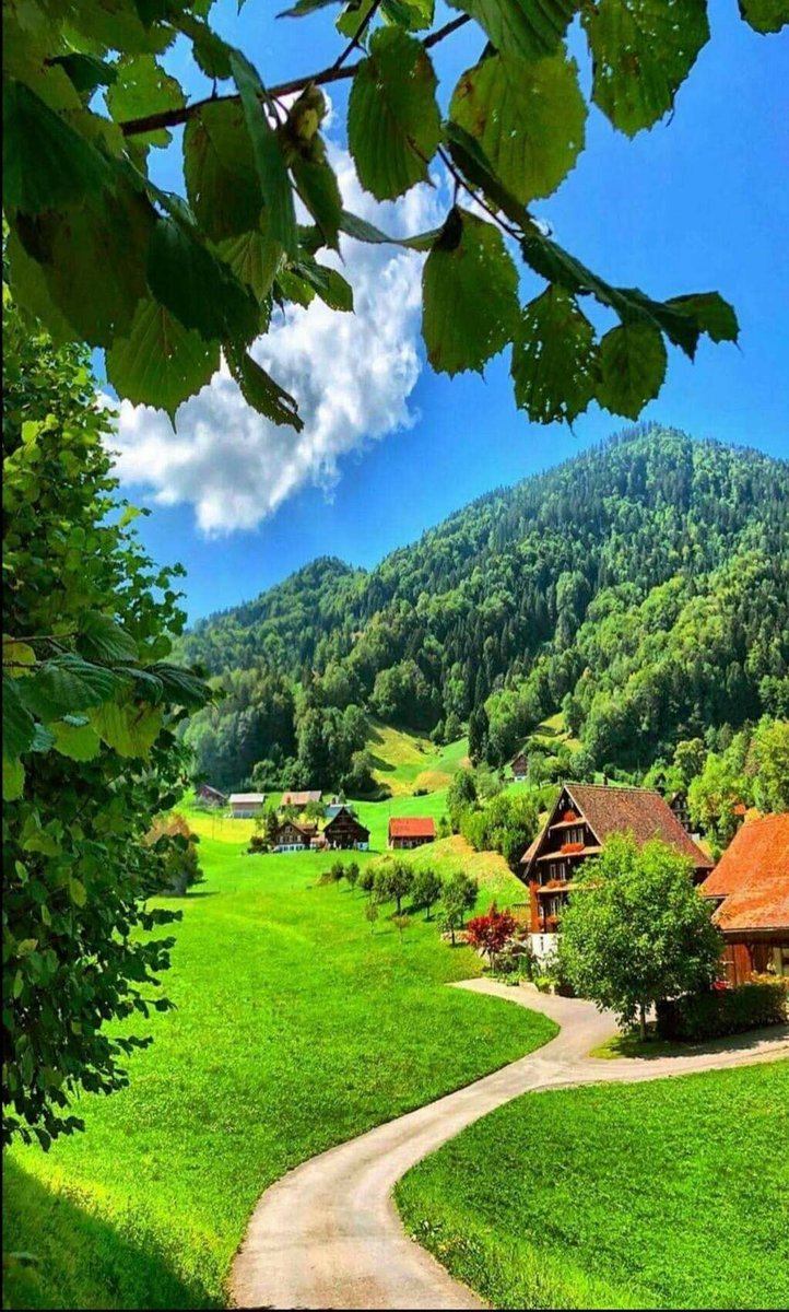 DreamyTechGirl's tweet photo. Amazing Switzerland! So peaceful and beautiful!
https://t.co/ZxmVYFGgqv https://t.co/CzaQx9AvZI