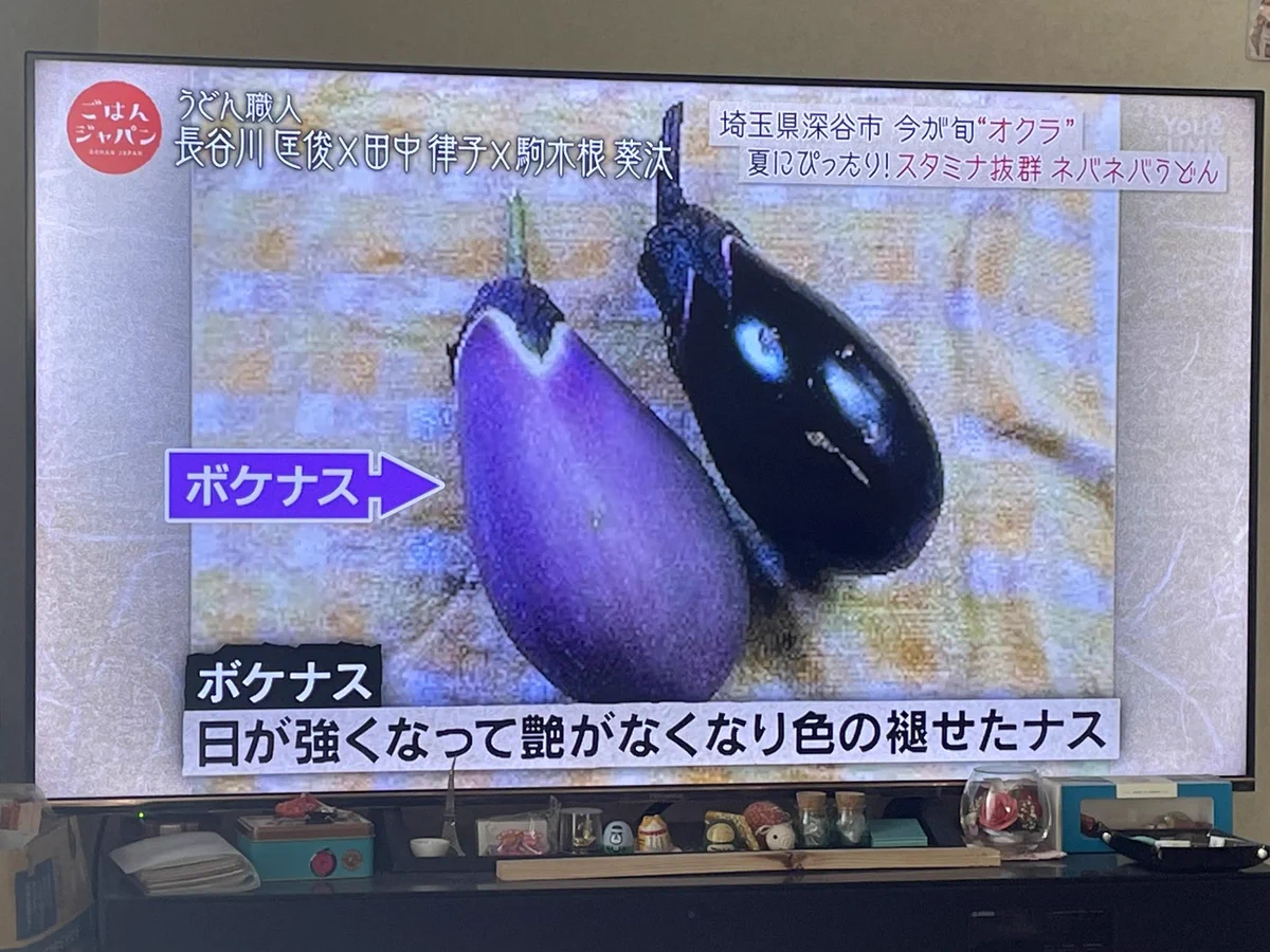 日が強くなってくると色が褪せてボケナスになる！！何か心当たりがあるような…！？