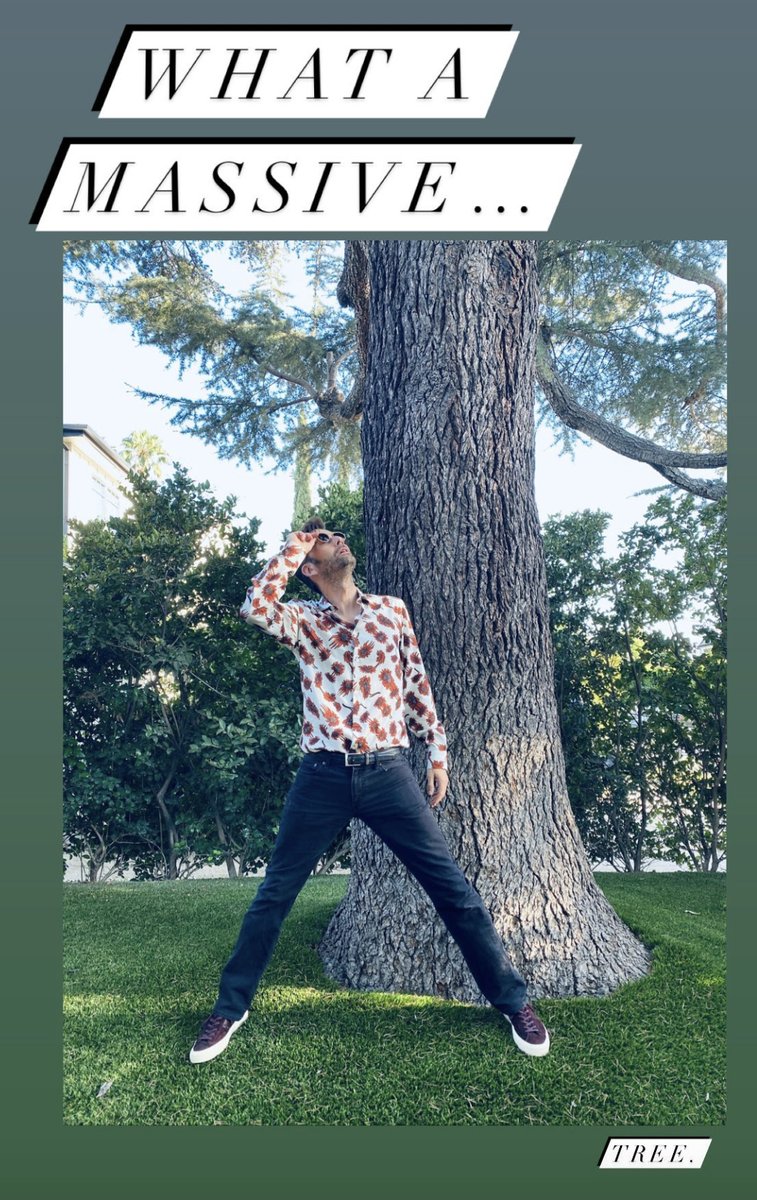 ineffableFeathr's tweet photo. @primevideouk A big tree? https://t.co/wJF3IeORL9