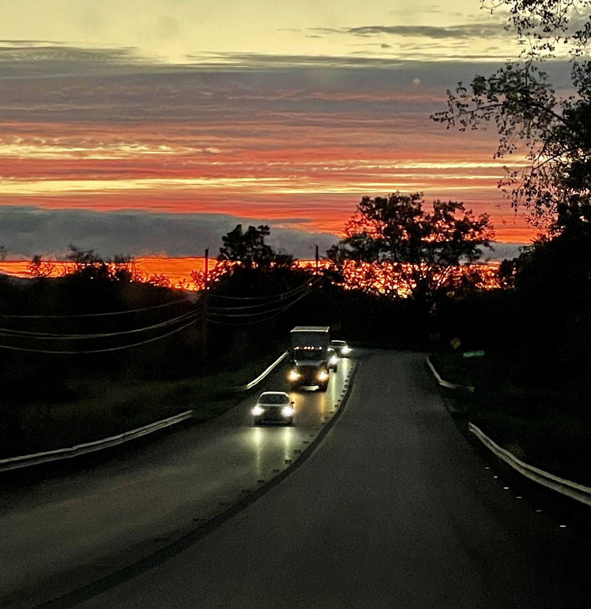 Marguerite M. Rivas tweet media