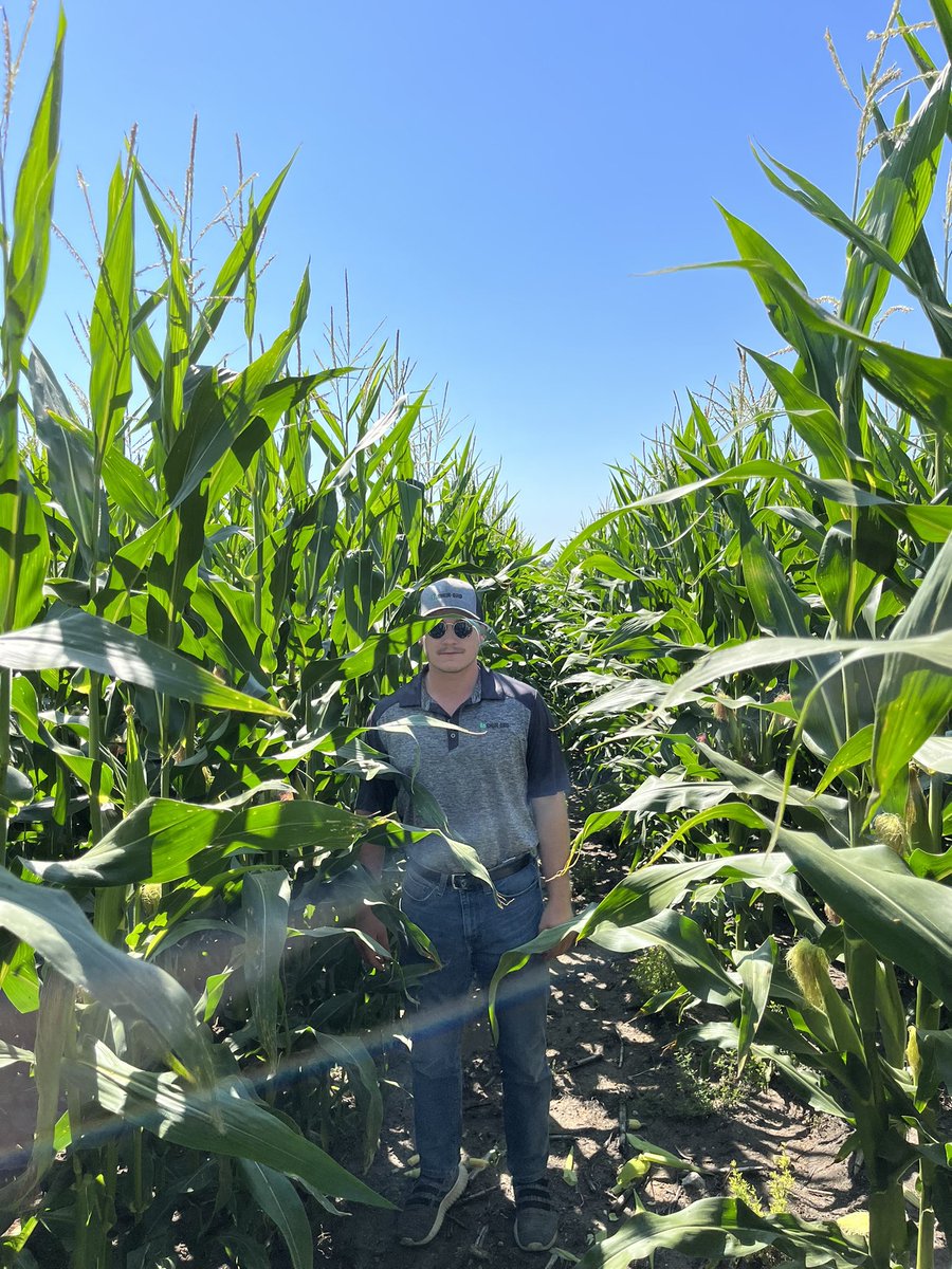 Jebber11's tweet photo. Would you believe me if I said @Torin_Howarth was 6’5”?!?!? I didn’t think so but thanks for taking the time to show me some Thunder corn/ soybean fields in the Killarney area Torin #Shur-Gro #ThunderSeed https://t.co/O9OZ88MlFS
