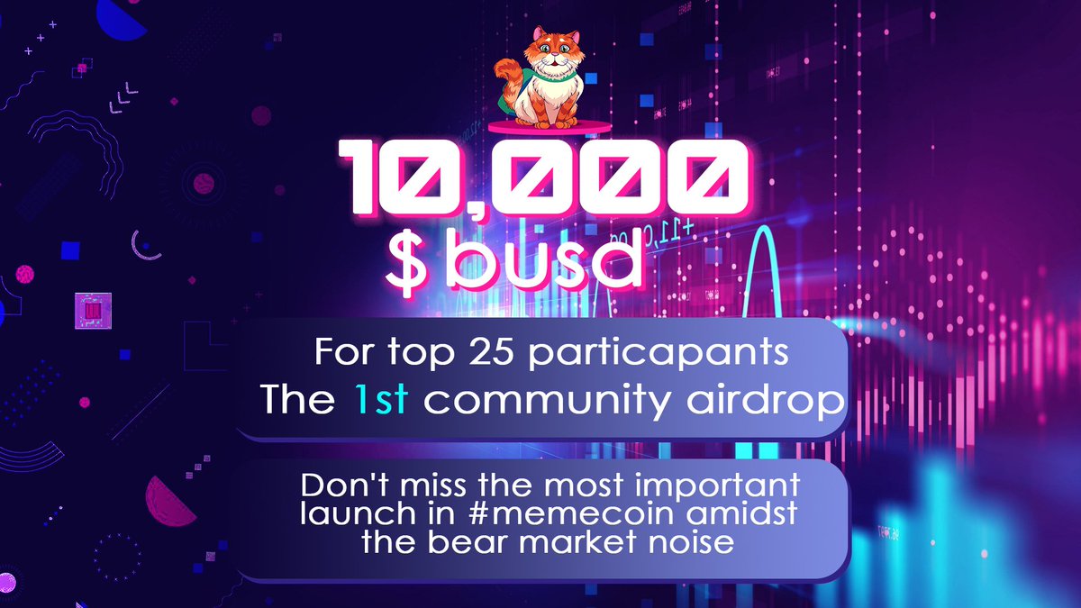 Stray Inu tweet media