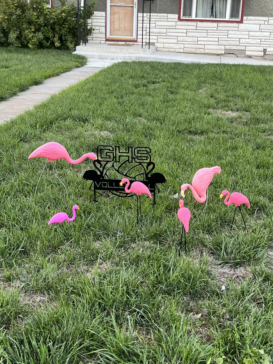 I’ve been flocked!! <a href="/GeringVb/">Gering Vb</a> can’t wait to see you in action. Fantastic!!