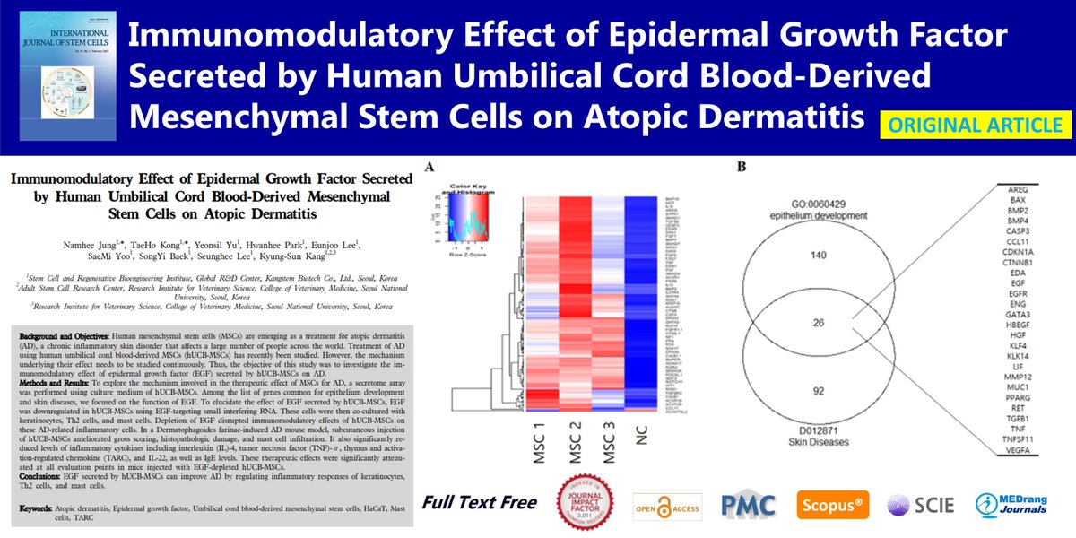 IntJStemCells's tweet photo. Immunomodulatory Effect of Epidermal Growth Factor Secreted by Human Umbilical Cord Blood-Derived Mesenchymal Stem Cells on Atopic Dermatitis
open access🌷https://t.co/hi1cydfC90
(OF) Namhee Jung
#Atopic_dermatitis #Epidermal_growth_factor
#HaCaT #Mast_cells #TARC https://t.co/0KYYAxXwUd
