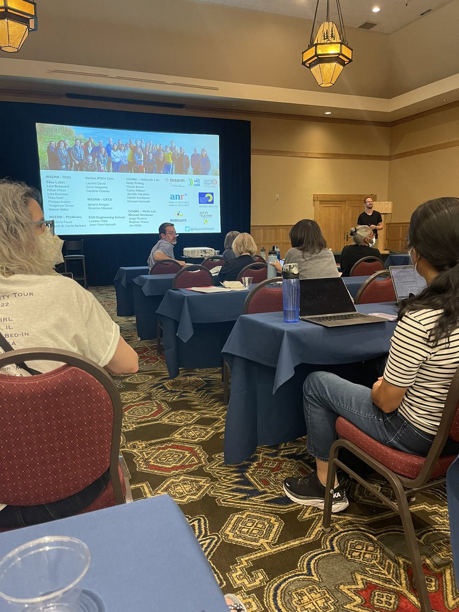 Dr. Rachel Stine tweet media