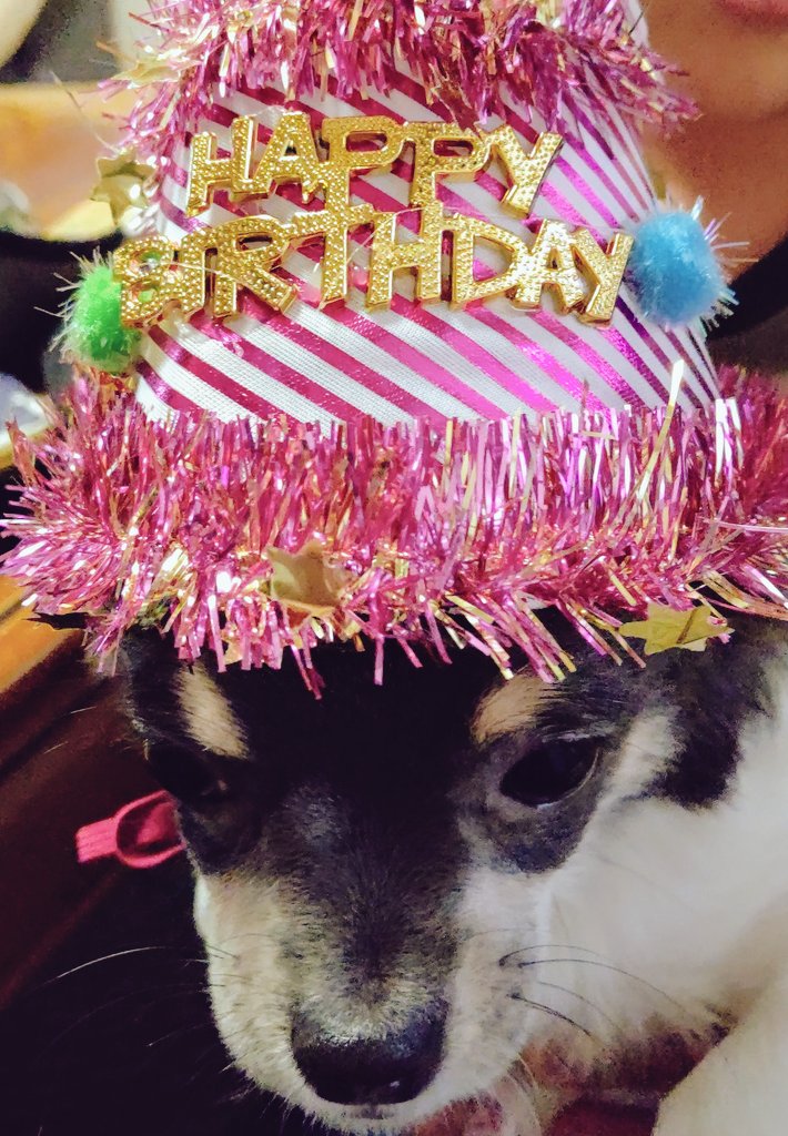 活躍を祈る Twitter Search Twitter