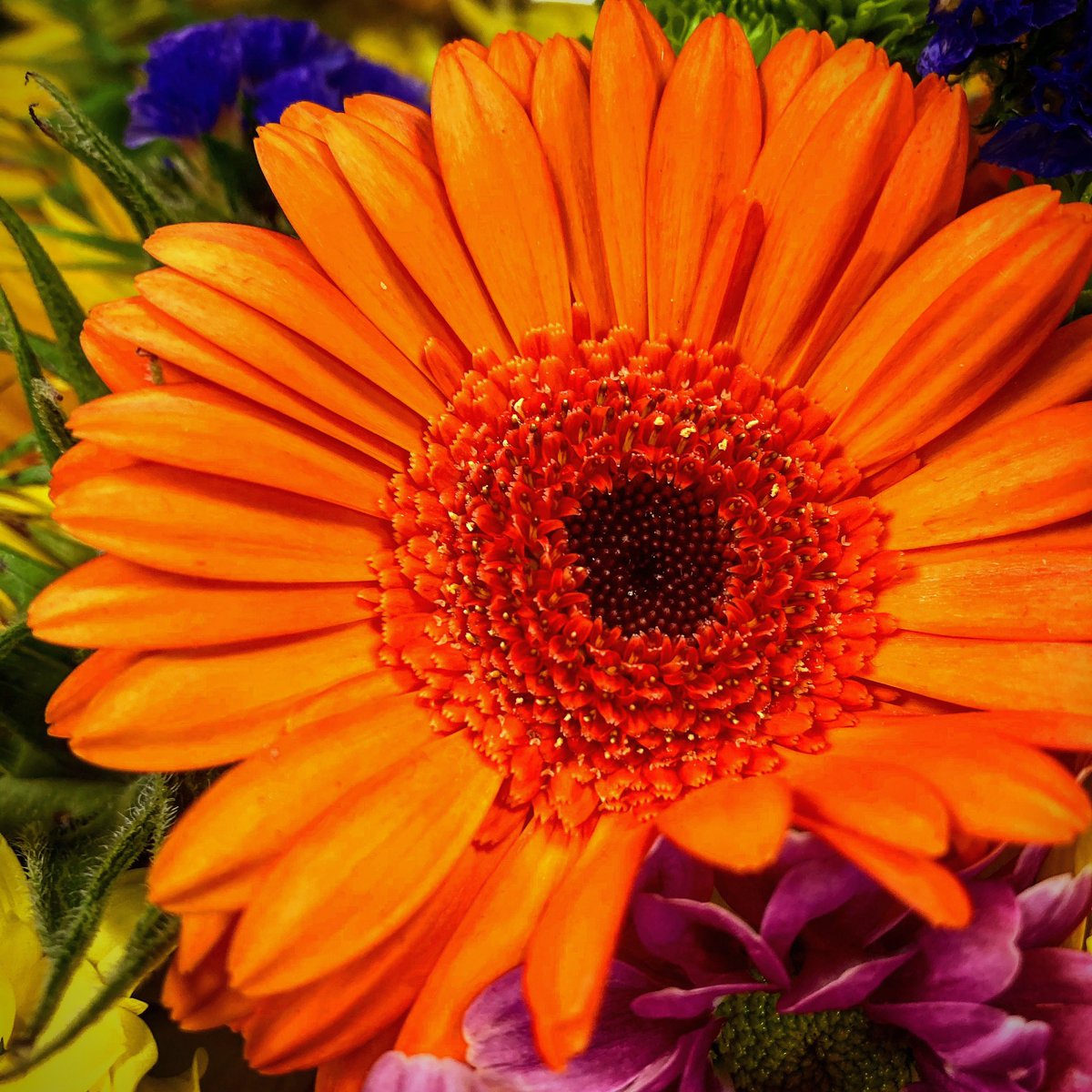 Ryan Deakin (@deakin_r1) on Twitter photo 