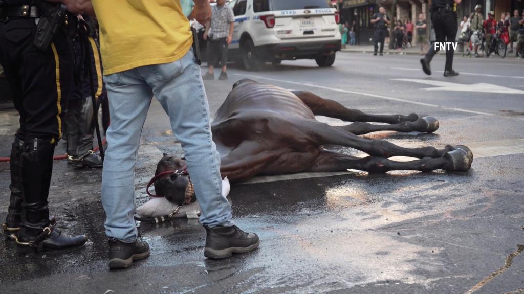 nypost's tweet image. Carriage horse flogged by driver after collapse on busy Manhattan avenue trib.al/iPpgjcu