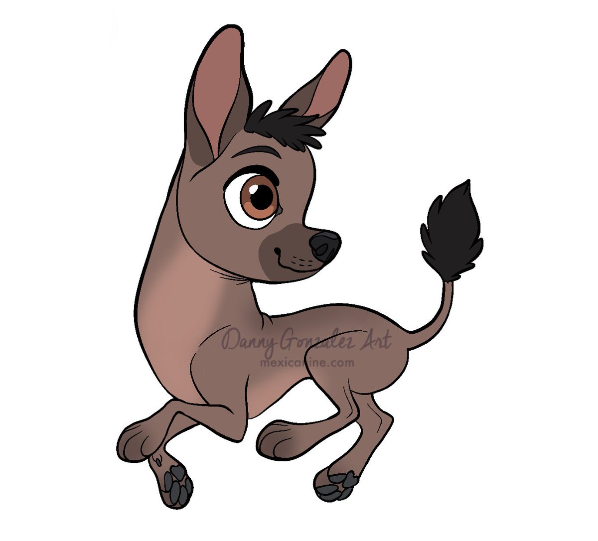 DOGGUST DAY 10: Xoloitzcuintli 🇲🇽 This one was extra special because I actually have a Xolo! You can follow his adventures at @danubedogs! 
#doggust #doggust2022
