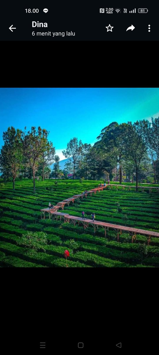 RatuMawar4's tweet photo. Puncak besok Jumat https://t.co/Mdq84Hkwxn