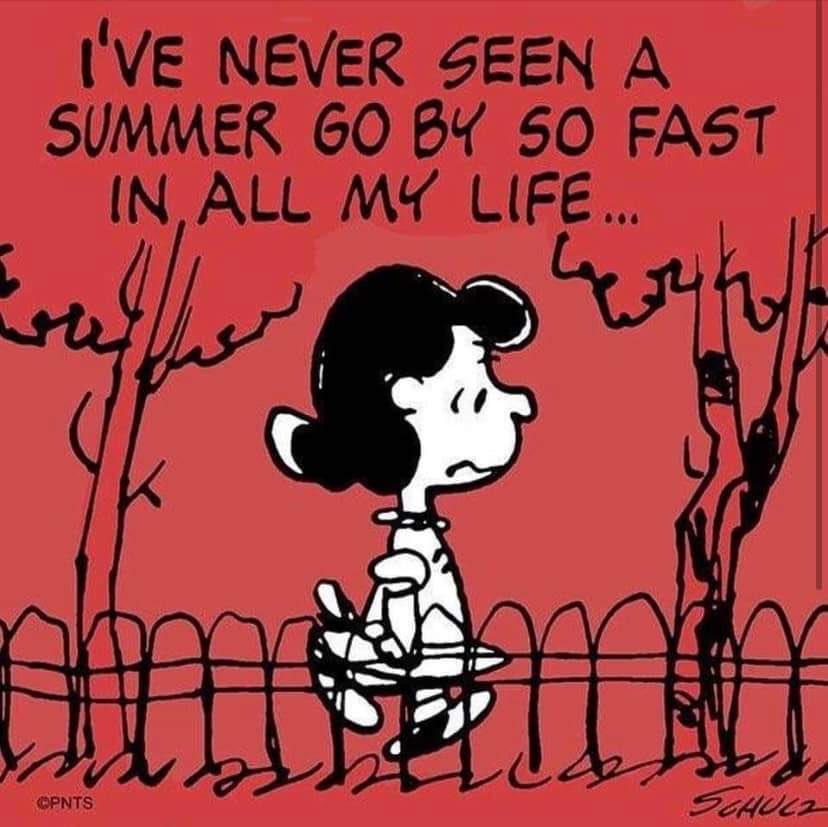 Shout out to all educators!  I’m certain many of you are feeling just like Lucy and wondering where the summer went! Wishing each of you a joyous &amp; healthy school year!  I have no doubt that your efforts will make a difference in the lives of your students!