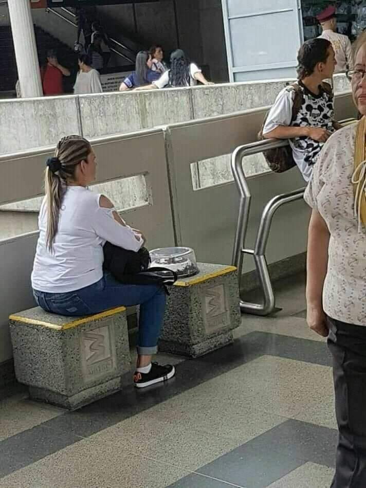 _onerolita's tweet photo. noooOoOoOo donde te sentasteeeeeeeeeeeeeeeeee https://t.co/xHp92aB0iP