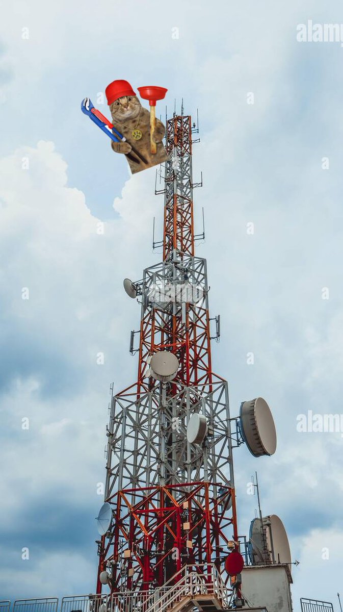 MDkittynft's tweet photo. My internet in these few weeks will be super broken, i guess the old internet tower near my place really need an upgrade or checkup (˙◁˙ ) https://t.co/qjOuavmgMj