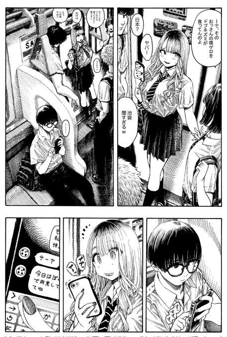 C100 サンプル4P 