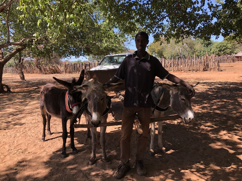 Animal Aid Abroad tweet media