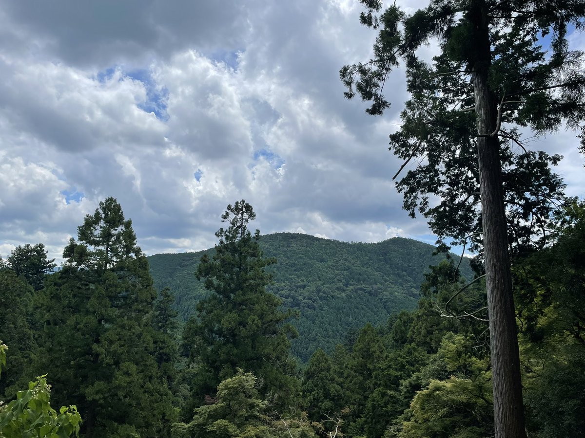 Progres_rapide's tweet photo. 山の日だけに山に来た笑 https://t.co/Kh0nicRpHp