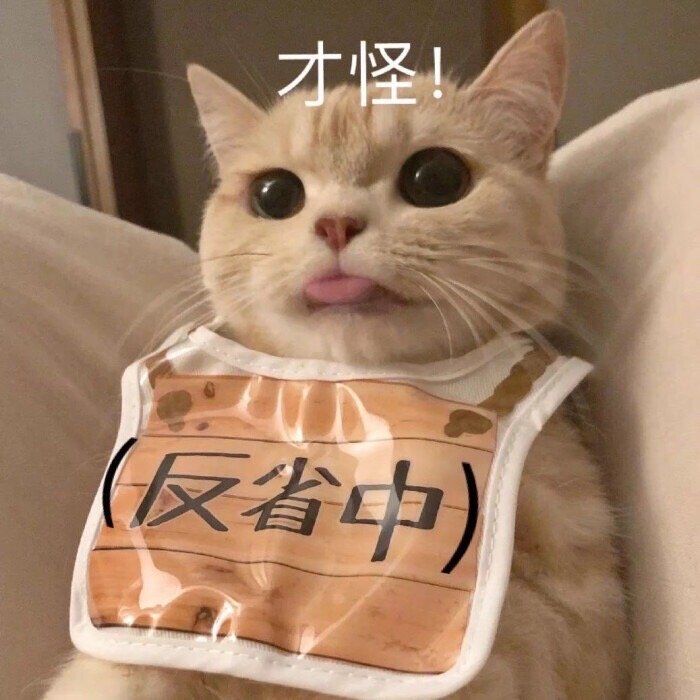 JaFirst198754's tweet photo. @biblesumett So do you want to be active? https://t.co/V2Sg0yfoDP
