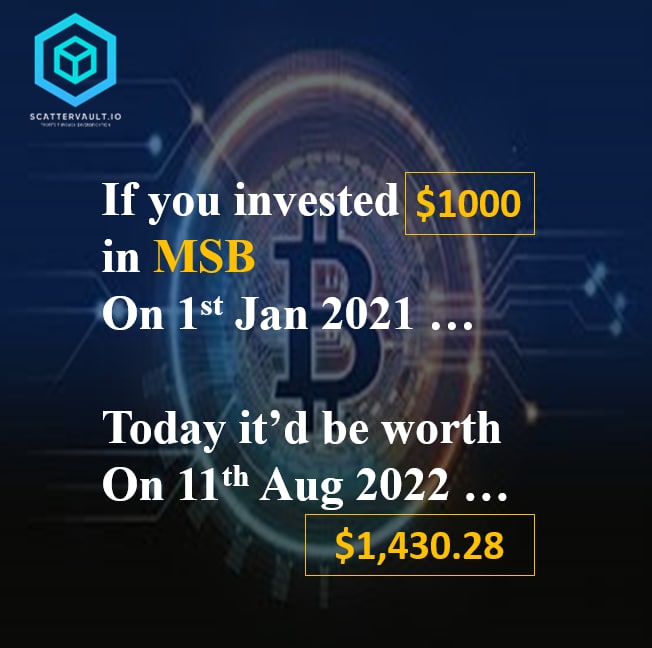 ScatterVault's tweet photo. If you invested $1,000 in #MSB, on 1st Jan 2021 … Today, 11th August 2022, it'd be worth $1,430.28 https://t.co/XYZ6v6GjZ4