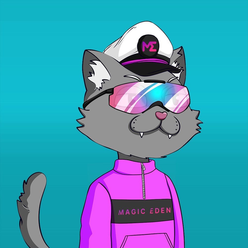 Dope_Cats's tweet photo. @MagicEden well then... https://t.co/euVSaixQww