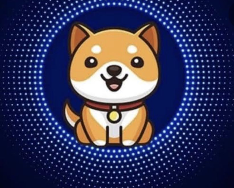 dizinho1979's tweet photo. @babydoge https://t.co/bzY8NKivqW