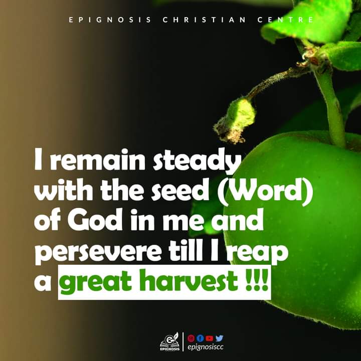 epignosiscc's tweet photo. Quotes from Epignosiscc
#epignosiscc
#onehourchurch 
#onehourservice 
#churchinabuja 
#sundayservice https://t.co/mjFxBgNnWt