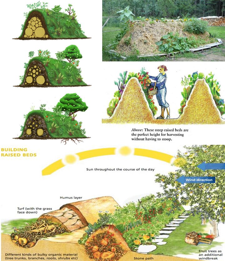 SolarpunkMemes's tweet photo. Raised beds 101 #Solarpunk #Sustainable #ClimateActionNow https://t.co/tmiHIk9Qsb