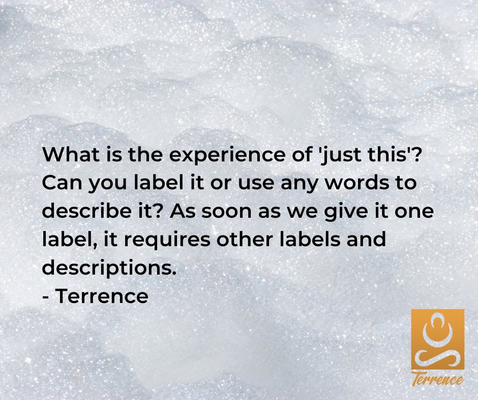 non_terry's tweet photo. What is the experience of 'just this'?  Can you label it or use any words to describe it? As soon as we give it one label, it requires other labels and descriptions.  More to the point, can you deny 'just this'? 
- Terrence https://t.co/EycemdK661